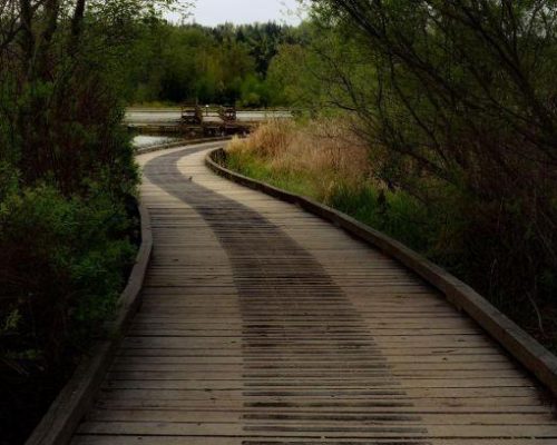 WALKWAYS(5